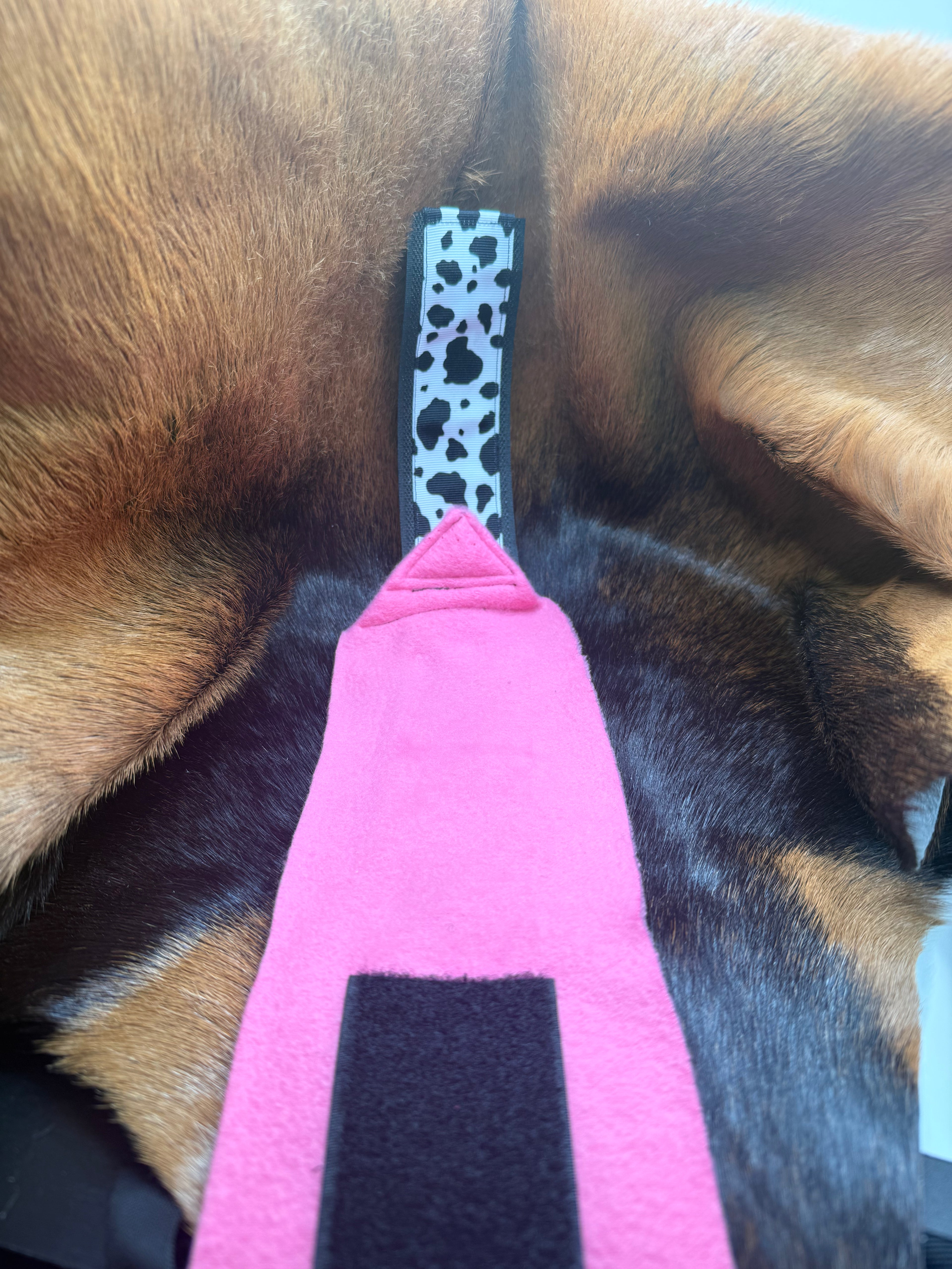 Signature Bell Bottom Shag Wraps (Ribbon)