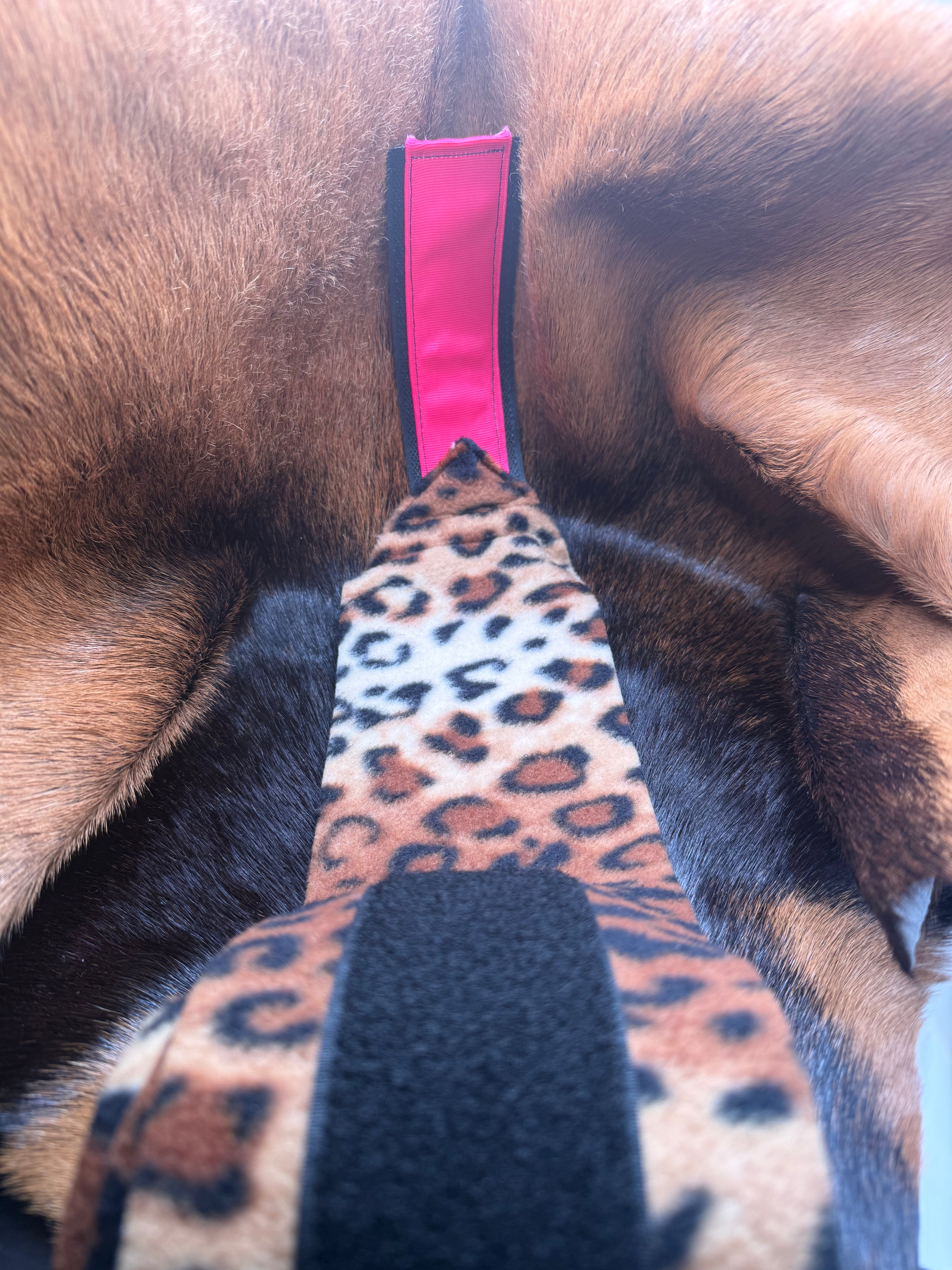 Signature Bell Bottom Shag Wraps (Ribbon)